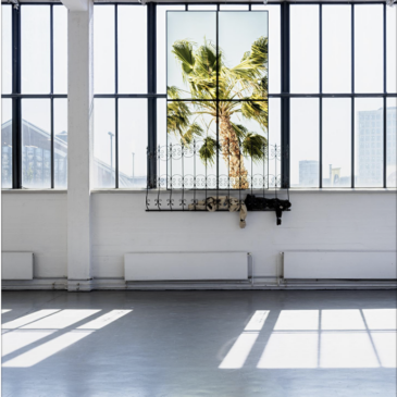 Ima Abasi Okon im Kunstverein Hamburg